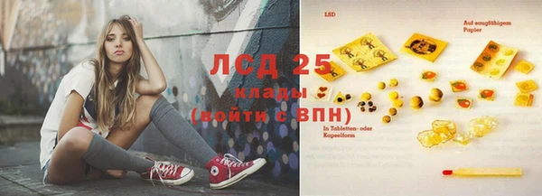 СК Абинск