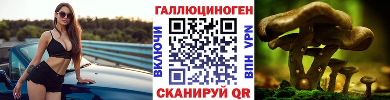 Галлюциногенные грибы Psilocybine cubensis  Карталы 
